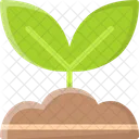 Leaf Sprout Growth Icon