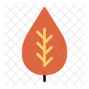 Leaf Plant Autumn Icon