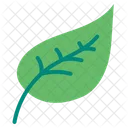 Leaf  Icon