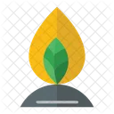 Leaf Organic Plant Icon