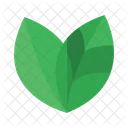 Leaf Green Tree Icon