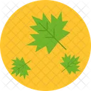 Leaf Ganja Marijuana Icon