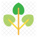 Plant Tree Jungle Icon
