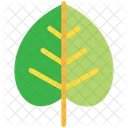 Mping Eco Ecology Icon