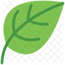 Leaf Leafage Nature Icon