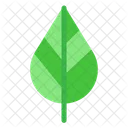 Eco Ecology Green Icon