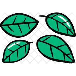 Leaf  Icon