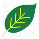 Leaf  Icon