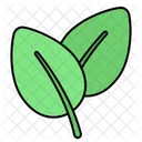 Leaf  Icon