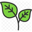 Leaf Ecology Energy Icon