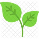 Leaf Ecology Energy Icon