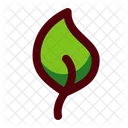 Leaf Natural Bio Icon