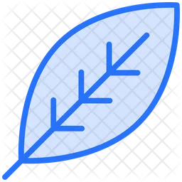 Leaf  Icon