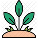Leaf Grow Growth Icon