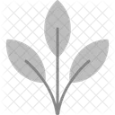 Leaf Ic Fluent Icon