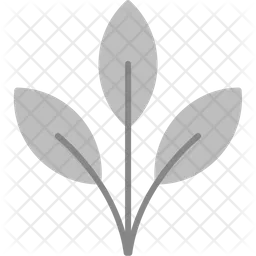 Leaf  Icon