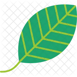 Leaf  Icon