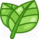 Leaf Leaves Plant Icon