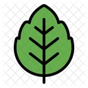 Leaf Nature Plant Icon