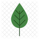 Leaf Nature Plant Icon