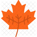 Leaf Plant Nature Icon