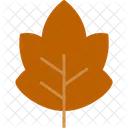 Leaf Plant Nature Icon