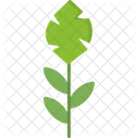 Plant Nature Leaf Icon