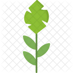 Leaf  Icon