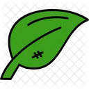 Leaf Plant Nature Icon