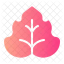 Leaf Herbs Natural Icon