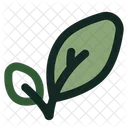 Leaf Nature Natural Icon