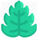 Chroma Icon