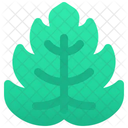 Leaf  Icon