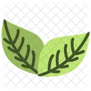 Leaf Nature Plant Icon