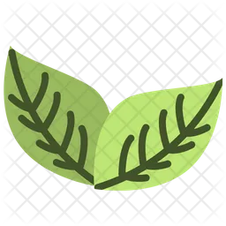 Leaf  Icon