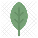 Nature Natural Ecology Icon