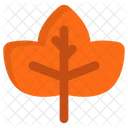 Leaf Plant Green Icon