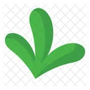 Foliage And Floral Leaf Leaves Icon