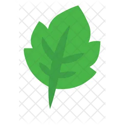 Leaf  Icon