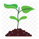 Leaf Tree Natural Icon