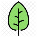 Leaf  Icon