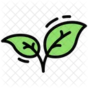 Leaf Nature Plant Icon