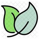 Leaf  Icon