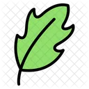 Leaf  Icon