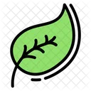 Leaf Nature Plant Icon