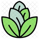 Leaf Nature Plant Icon