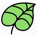 Leaf Nature Plant Icon