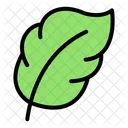 Leaf Nature Plant Icon