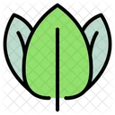 Leaf Nature Plant Icon