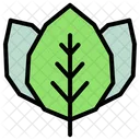 Leaf Nature Plant Icon